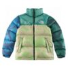 노스페이스 × KAWS 콜라보 1996 눕시 다운 자켓